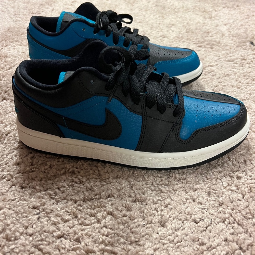 Never Worn Nike Dunks